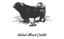 KCS Ranch