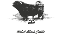 KCS Ranch