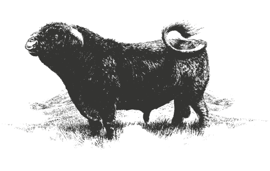 KCS Ranch