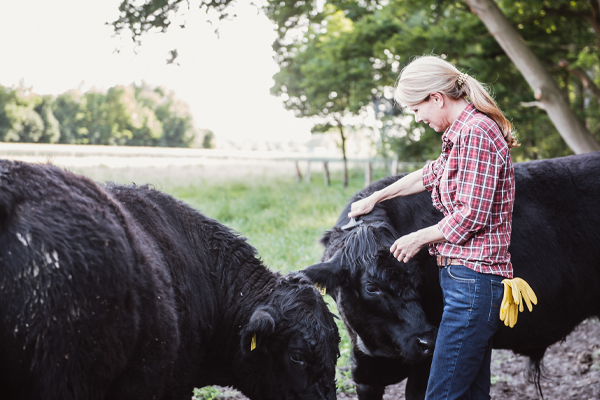 KCS Ranch